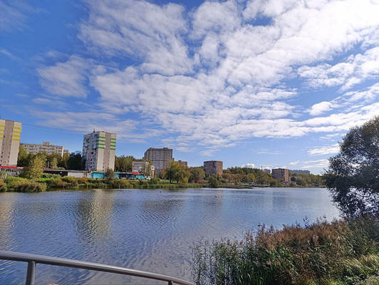 Продам однокомнатную (1-комн.) квартиру, Пушкинская ул, 1к3, Ашукино дп