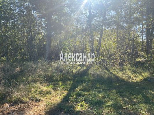 Продам участок 25 соток, ИЖС, Остров п, 140 км от города