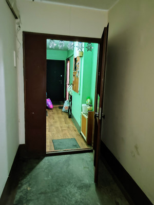 Продам однокомнатную (1-комн.) квартиру, Шлиссельбургский пр-кт, 45А, Санкт-Петербург г