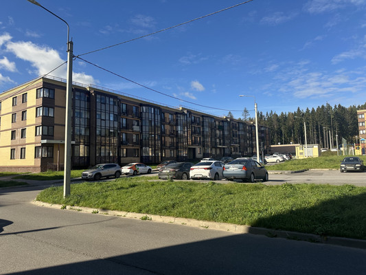 Продам торговое помещение 43,1 м2, Центральная ул, 14Нк4, Сертолово г