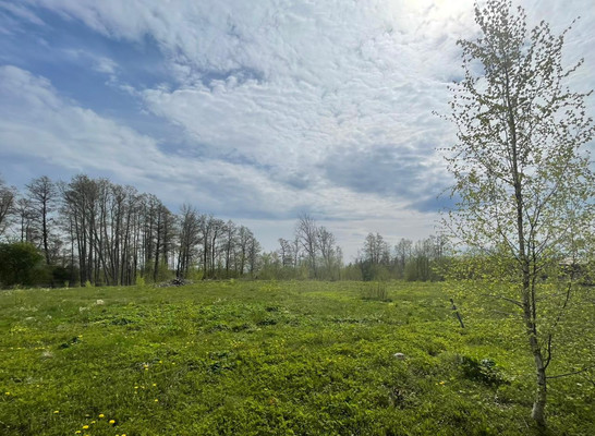 Продам участок 15 соток, Фермерское хоз., Зеленая Роща п, 0 км от города