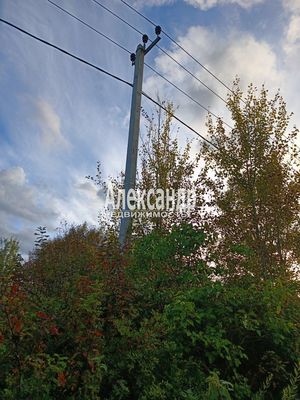 Продам участок 10 соток, СНТ, поселок СНТ "Сиверский Массив", Сиверский тер. СНТ, 10, Старосиверская массив, 75 км от города