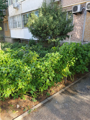 Продам трехкомнатную (3-комн.) квартиру, Чекистов пр-кт, 8, Краснодар г