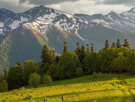Продам землю для коммерческого использования 20,48 соток, Садоводство, Лесная ул, 59, Гузерипль п