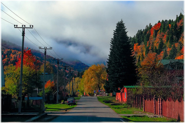 Продам землю для коммерческого использования 20,48 соток, Садоводство, Лесная ул, 59, Гузерипль п