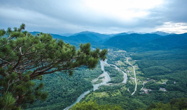 Продам землю для коммерческого использования 60 соток, ИЖС, Набережная ул, 55, Хамышки с
