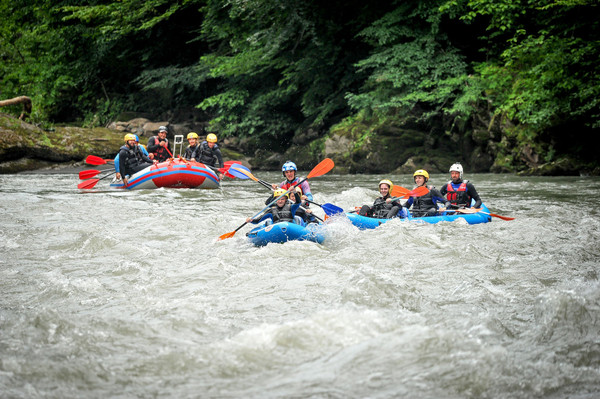 Продам землю для коммерческого использования 60 соток, ИЖС, Набережная ул, 55, Хамышки с