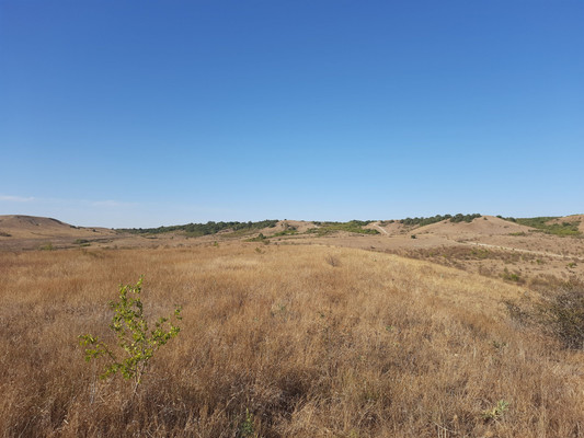 Продам землю для коммерческого использования 3,15 соток, Фермерское хоз., Почтовое пгт