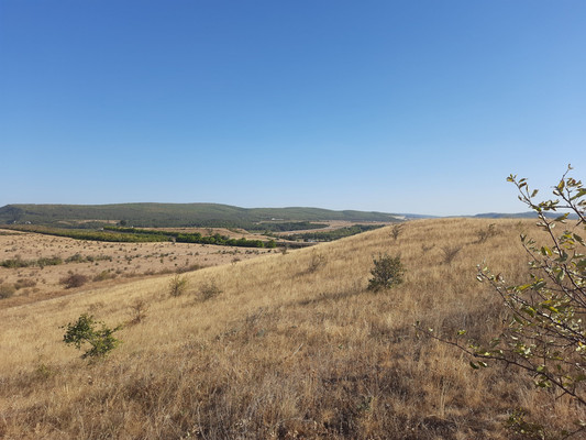 Продам землю для коммерческого использования 3,15 соток, Фермерское хоз., Почтовое пгт