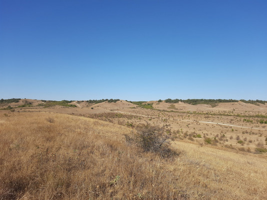 Продам землю для коммерческого использования 3,15 соток, Фермерское хоз., Почтовое пгт