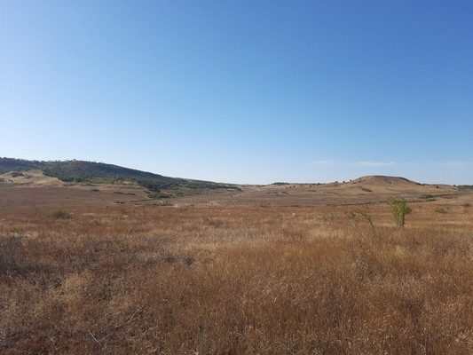 Продам землю для коммерческого использования 3,15 соток, Фермерское хоз., Почтовое пгт