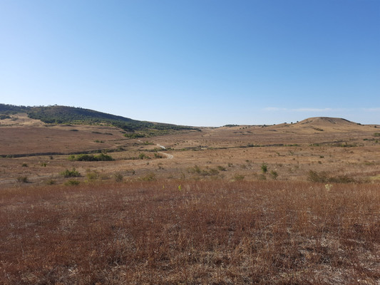 Продам землю для коммерческого использования 3,15 соток, Фермерское хоз., Почтовое пгт