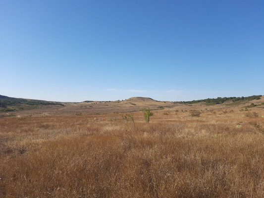 Продам землю для коммерческого использования 3,15 соток, Фермерское хоз., Почтовое пгт