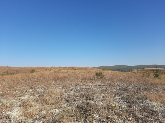 Продам землю для коммерческого использования 3,15 соток, Фермерское хоз., Почтовое пгт