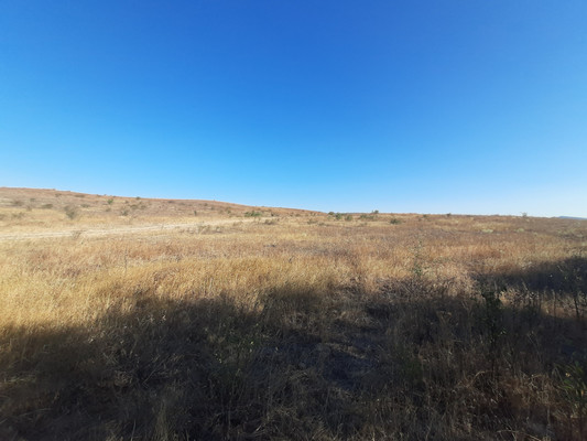 Продам землю для коммерческого использования 3,15 соток, Фермерское хоз., Почтовое пгт