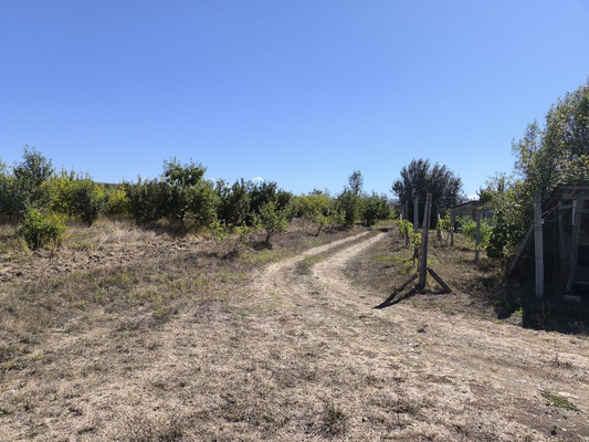 Продам землю для коммерческого использования 1,7 соток, Фермерское хоз., Нововасильевка с