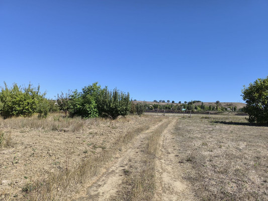 Продам землю для коммерческого использования 1,7 соток, Фермерское хоз., Нововасильевка с