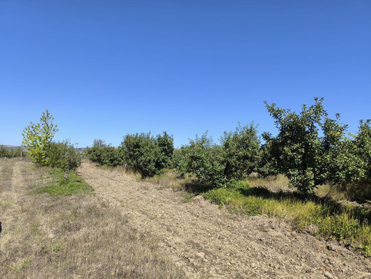 Продам землю для коммерческого использования 1,7 соток, Фермерское хоз., Нововасильевка с