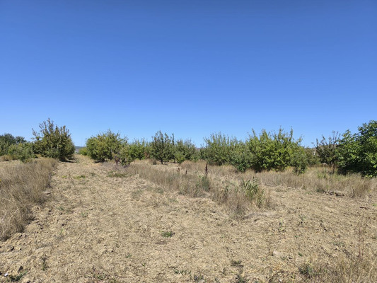 Продам землю для коммерческого использования 1,7 соток, Фермерское хоз., Нововасильевка с