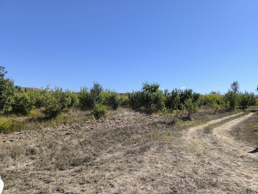 Продам землю для коммерческого использования 1,7 соток, Фермерское хоз., Нововасильевка с