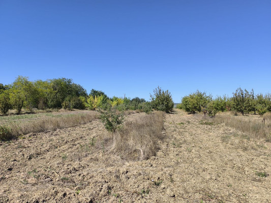 Продам землю для коммерческого использования 1,7 соток, Фермерское хоз., Нововасильевка с