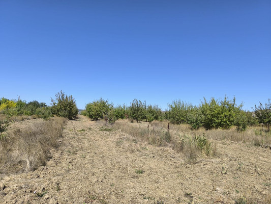 Продам землю для коммерческого использования 1,7 соток, Фермерское хоз., Нововасильевка с