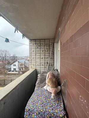 Продам однокомнатную (1-комн.) квартиру, Агрызская ул, 78, Казань г