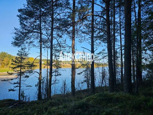Продам участок 63 соток, ЛПХ, Рауталахти п, 230 км от города