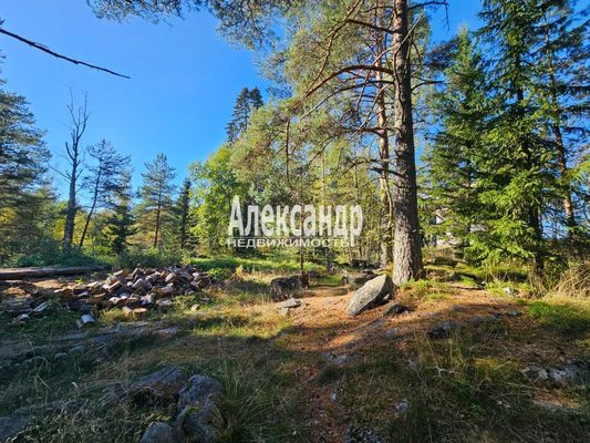 Продам участок 63 соток, ЛПХ, Рауталахти п, 230 км от города