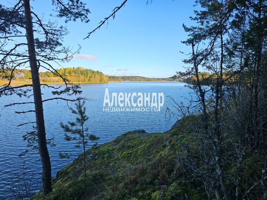 Продам участок 63 соток, ЛПХ, Рауталахти п, 230 км от города