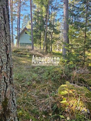 Продам участок 63 соток, ЛПХ, Рауталахти п, 230 км от города