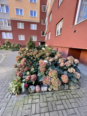 Продам однокомнатную (1-комн.) квартиру, Печатная ул, 21в, Калининград г