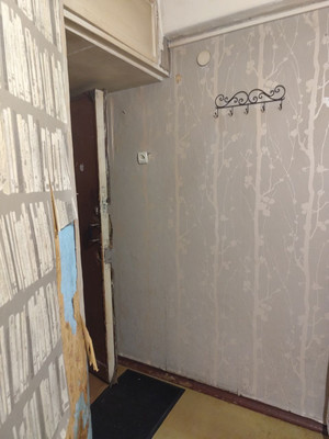 Продам однокомнатную (1-комн.) квартиру, Новоизмайловский пр-кт, 67, Санкт-Петербург г