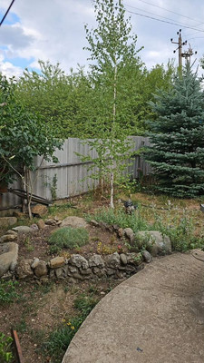 Продам дом, Центральная (Салгир тер. СНТ) ул, Лозовое с, 0 км от города