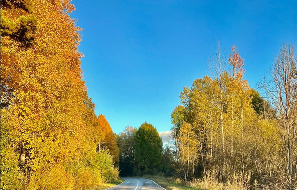 Продам участок 40 соток, ИЖС, Красноармейское п, 0 км от города