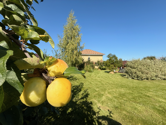 Продам дом, Физкультурная ул, 93, Бурцево д, 30 км от города