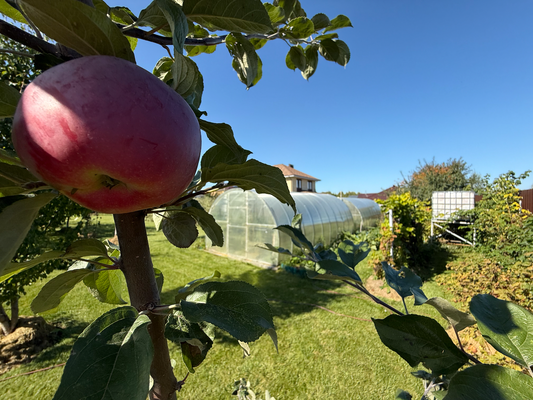 Продам дом, Физкультурная ул, 93, Бурцево д, 30 км от города