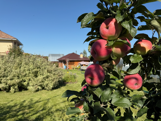 Продам дом, Физкультурная ул, 93, Бурцево д, 30 км от города