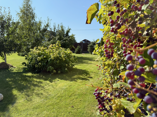 Продам дом, Физкультурная ул, 93, Бурцево д, 30 км от города