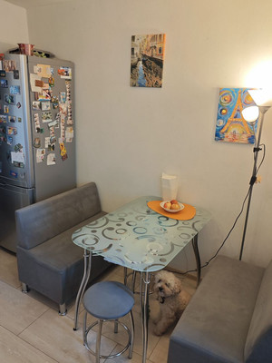 Продам двухкомнатную (2-комн.) квартиру, Морская наб, 9а, Санкт-Петербург г