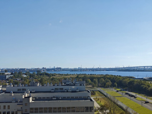 Продам двухкомнатную (2-комн.) квартиру, Морская наб, 9а, Санкт-Петербург г