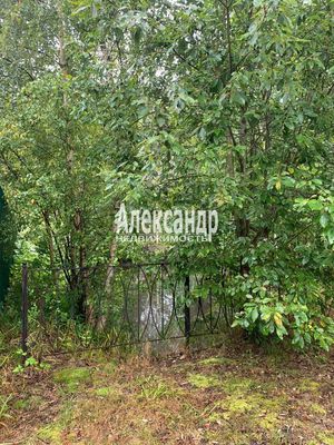 Продам участок 8 соток, Садоводство, поселок СНТ Феникс, Феникс снт, 10 км от города