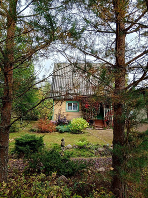 Продам дачу, Железнодорожник тер. СНТ, Массив Мшинская тер, 0 км от города