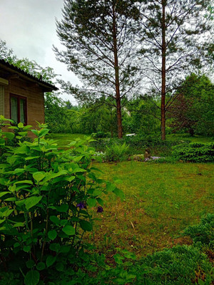 Продам дачу, Железнодорожник тер. СНТ, Массив Мшинская тер, 0 км от города