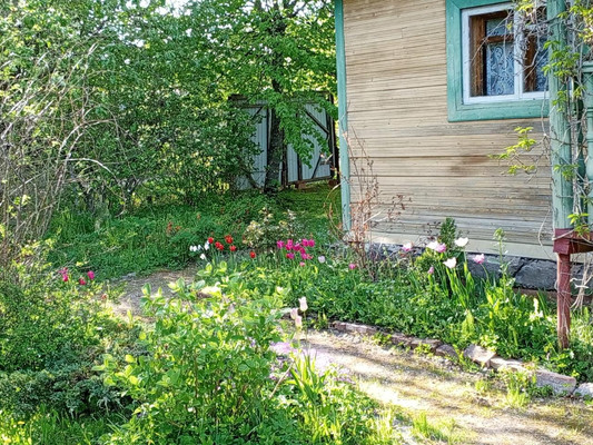 Продам дачу, Железнодорожник тер. СНТ, Массив Мшинская тер, 0 км от города