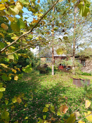 Продам дачу, Железнодорожник тер. СНТ, Массив Мшинская тер, 0 км от города