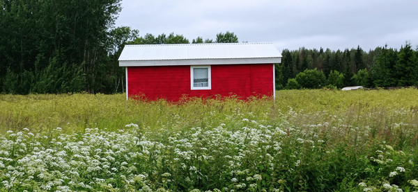 Продам дом, Реболово д, 0 км от города