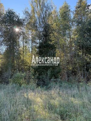 Продам участок 6,1 соток, ИЖС, поселок Сердце Вуоксы, 6, Четверяково д, 87 км от города