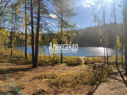 Продам участок 6,1 соток, ИЖС, поселок Сердце Вуоксы, 6, Четверяково д, 87 км от города