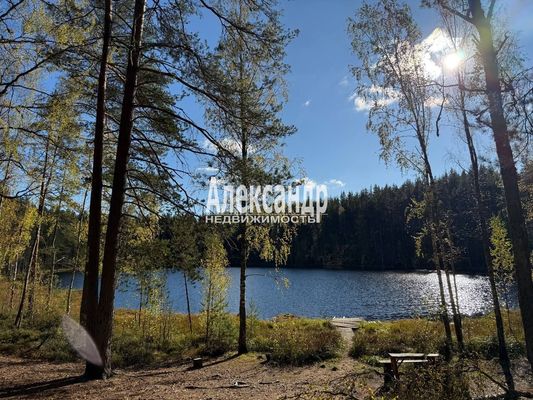 Продам участок 6,1 соток, ИЖС, поселок Сердце Вуоксы, 6, Четверяково д, 87 км от города
